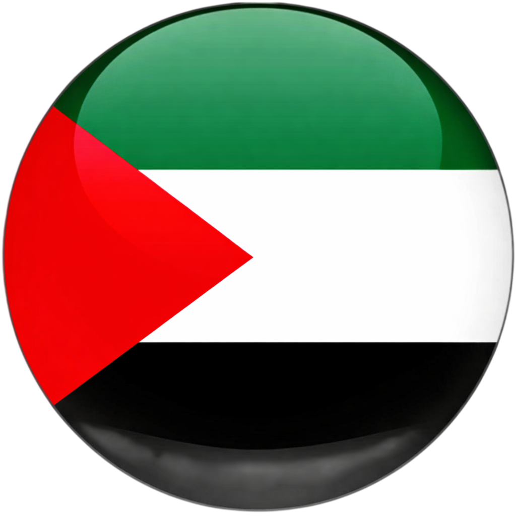 UAE Flag