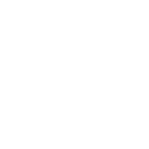 Fancy API